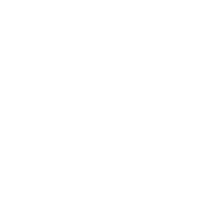 Shane and Anna's Wedding